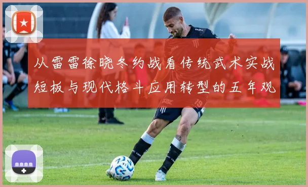 从雷雷徐晓冬约战看传统武术实战短板与现代格斗应用转型的五年观察