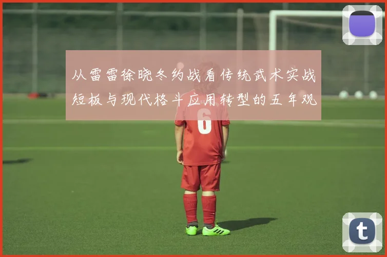 从雷雷徐晓冬约战看传统武术实战短板与现代格斗应用转型的五年观察